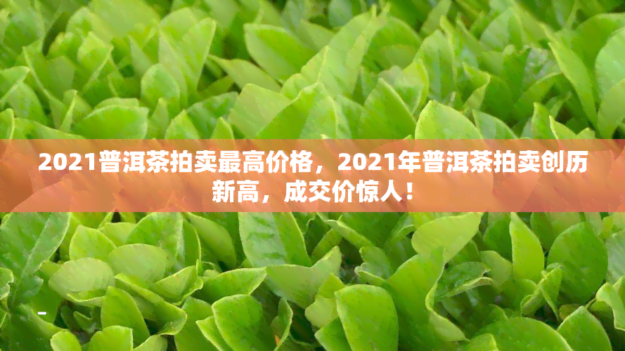 2021普洱茶拍卖更高价格，2021年普洱茶拍卖创历新高，成交价惊人！