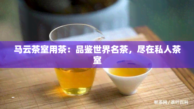 马云茶室用茶：品鉴世界名茶，尽在私人茶室