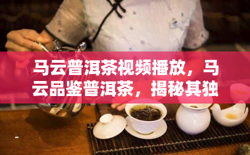 马云普洱茶视频播放，马云品鉴普洱茶，揭秘其独特口感与文化内涵的视频播放