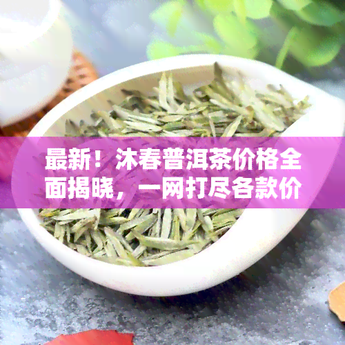 最新！沐春普洱茶价格全面揭晓，一网打尽各款价格表