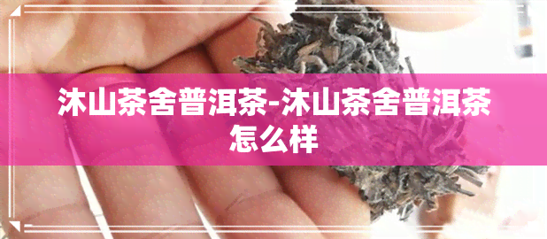 沐山茶舍普洱茶-沐山茶舍普洱茶怎么样