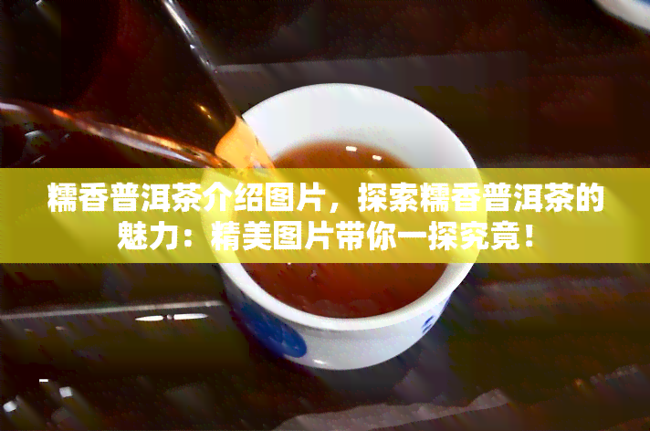 糯香普洱茶介绍图片，探索糯香普洱茶的魅力：精美图片带你一探究竟！