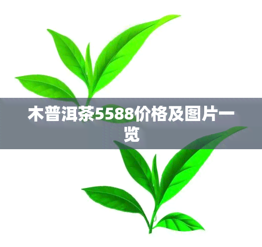 木普洱茶5588价格及图片一览