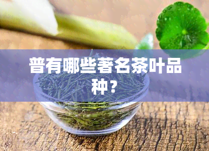 普有哪些著名茶叶品种？