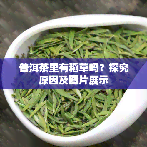 普洱茶里有稻草吗？探究原因及图片展示