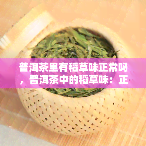 普洱茶里有稻草味正常吗，普洱茶中的稻草味：正常还是异常？