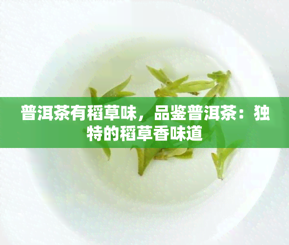 普洱茶有稻草味，品鉴普洱茶：独特的稻草香味道