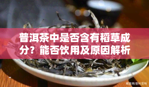 普洱茶中是否含有稻草成分？能否饮用及原因解析