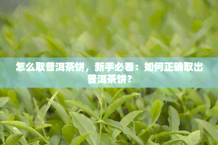 怎么取普洱茶饼，新手必看：如何正确取出普洱茶饼？