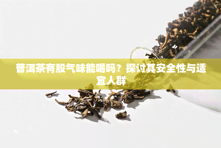 普洱茶有股气味能喝吗？探讨其安全性与适宜人群