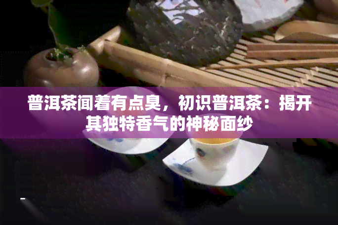 普洱茶闻着有点臭，初识普洱茶：揭开其独特香气的神秘面纱