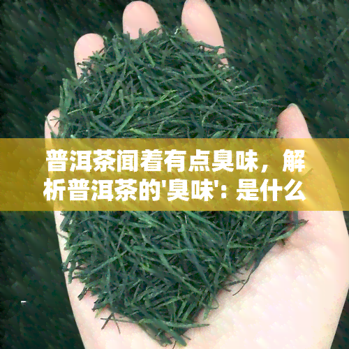 普洱茶闻着有点臭味，解析普洱茶的'臭味': 是什么让它具有独特的香气？