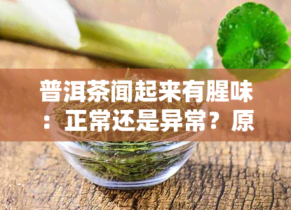 普洱茶闻起来有腥味：正常还是异常？原因解析