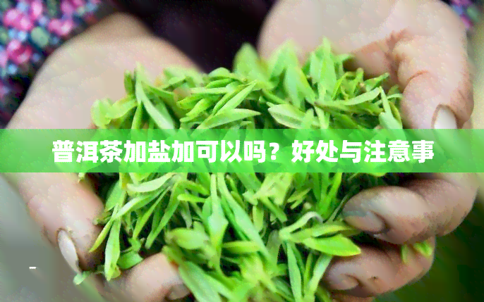 普洱茶加盐加可以吗？好处与注意事