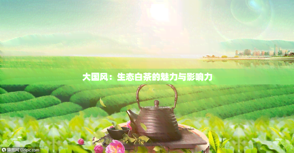 大国风：生态白茶的魅力与影响力