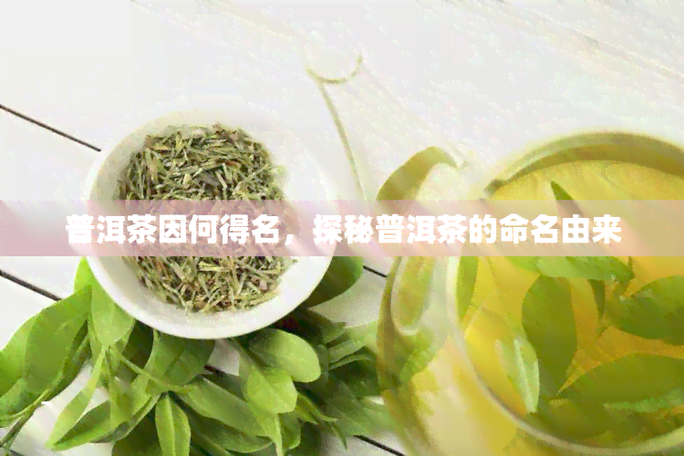 普洱茶因何得名，探秘普洱茶的命名由来