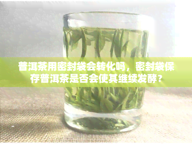 普洱茶用密封袋会转化吗，密封袋保存普洱茶是否会使其继续发酵？