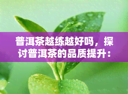 普洱茶越练越好吗，探讨普洱茶的品质提升：越练真的越好吗？