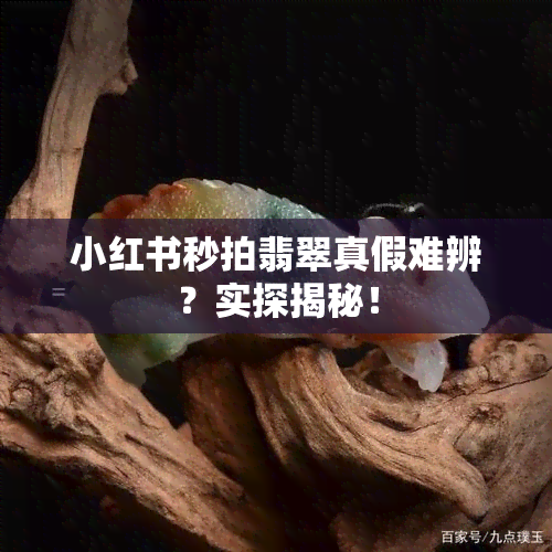 小红书秒拍翡翠真假难辨？实探揭秘！