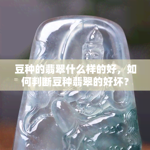 豆种的翡翠什么样的好，如何判断豆种翡翠的好坏？