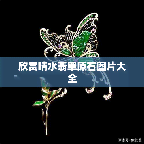 欣赏晴水翡翠原石图片大全