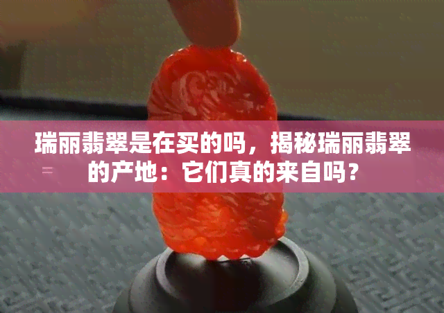 瑞丽翡翠是在买的吗，揭秘瑞丽翡翠的产地：它们真的来自吗？