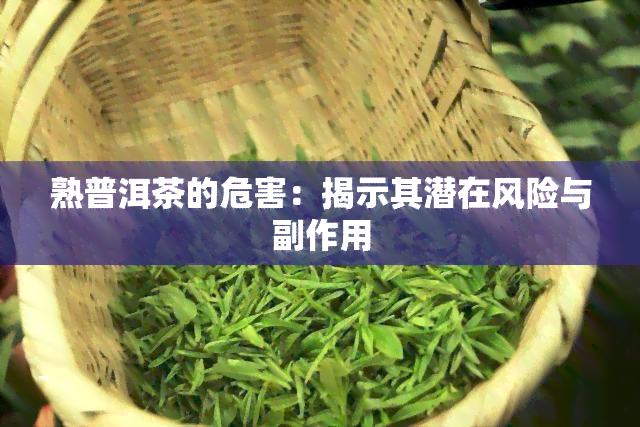 熟普洱茶的危害：揭示其潜在风险与副作用