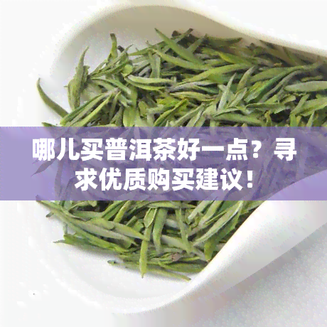 哪儿买普洱茶好一点？寻求优质购买建议！