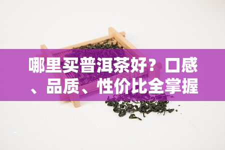 哪里买普洱茶好？口感、品质、性价比全掌握！