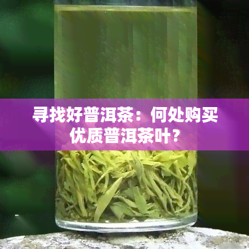 寻找好普洱茶：何处购买优质普洱茶叶？