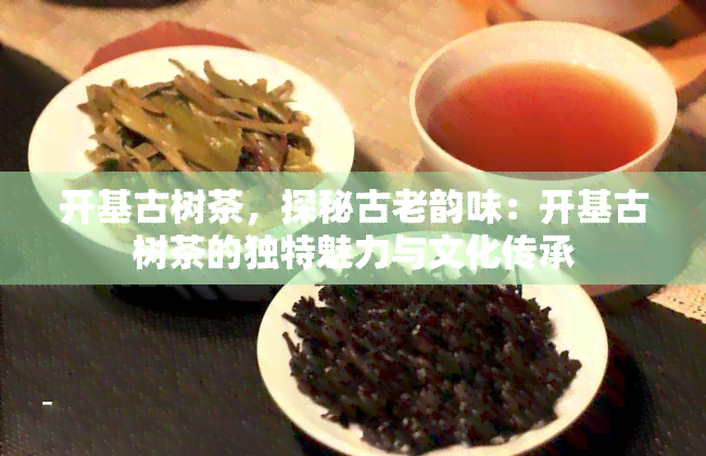 开基古树茶，探秘古老韵味：开基古树茶的独特魅力与文化传承