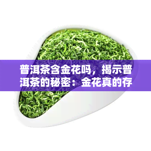 普洱茶含金花吗，揭示普洱茶的秘密：金花真的存在吗？