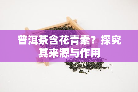 普洱茶含花青素？探究其来源与作用