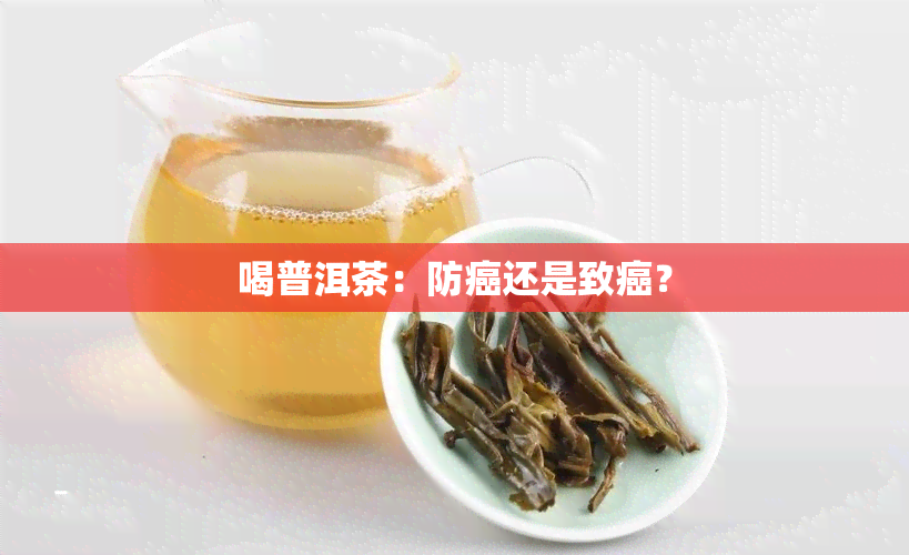 喝普洱茶：防癌还是致癌？