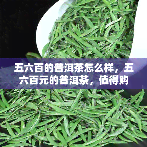 五六百的普洱茶怎么样，五六百元的普洱茶，值得购买吗？