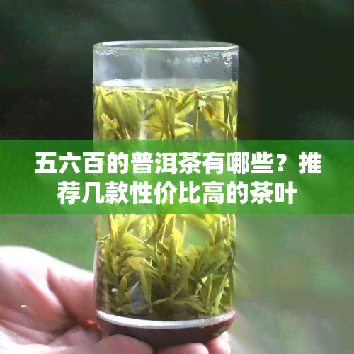 五六百的普洱茶有哪些？推荐几款性价比高的茶叶