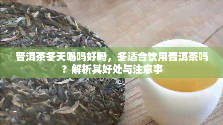 普洱茶冬天喝吗好吗，冬适合饮用普洱茶吗？解析其好处与注意事