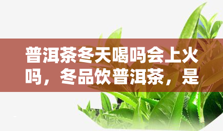 普洱茶冬天喝吗会上火吗，冬品饮普洱茶，是否会引发上火现象？