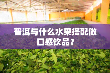 普洱能做什么水果茶 普洱茶是一种以云南大叶种茶为原料,经过特殊的