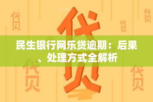 民生银行网乐贷逾期：后果、处理方式全解析