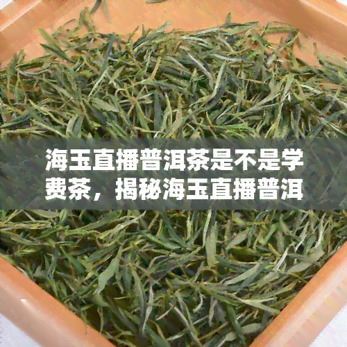 海玉直播普洱茶是不是学费茶，揭秘海玉直播普洱茶：是学费茶还是真实货？