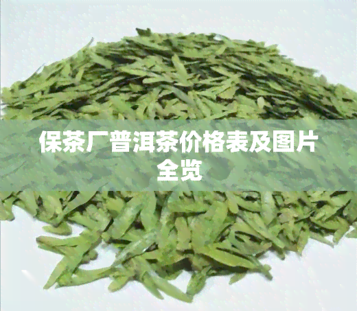 保茶厂普洱茶价格表及图片全览