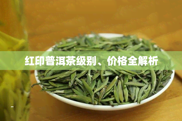 红印普洱茶级别、价格全解析