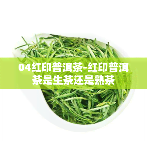 04红印普洱茶-红印普洱茶是生茶还是熟茶