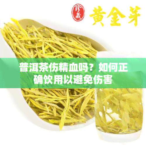 普洱茶伤精血吗？如何正确饮用以避免伤害