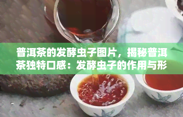 普洱茶的发酵虫子图片，揭秘普洱茶独特口感：发酵虫子的作用与形态照片