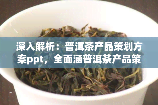 深入解析：普洱茶产品策划方案ppt，全面涵普洱茶产品策略