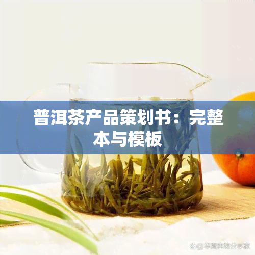 普洱茶产品策划书：完整本与模板