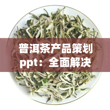 普洱茶产品策划ppt：全面解决方案与策略分析