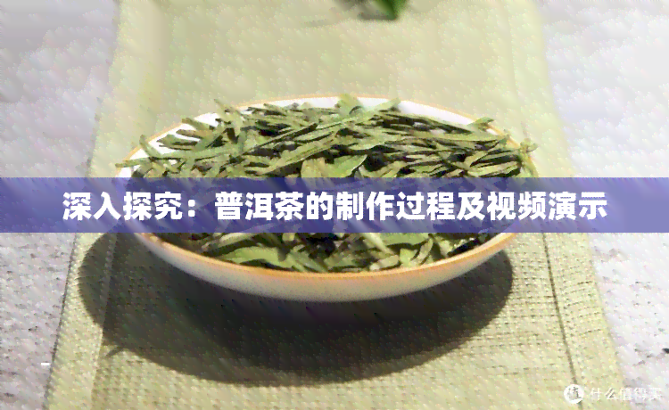 深入探究：普洱茶的制作过程及视频演示